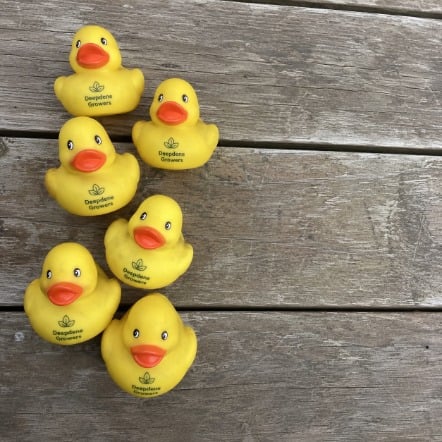 Branded rubber ducks with logo