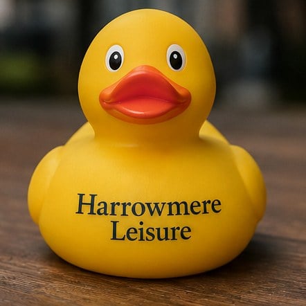 Classic Printed Rubber Ducks