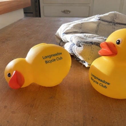 Custom printed rubber ducks in bulk