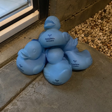 Custom rubber ducks — customer photo