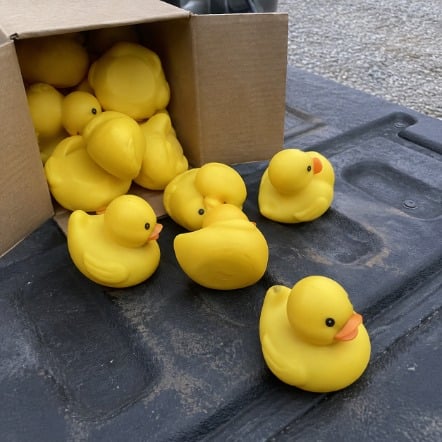 Custom rubber ducks for small business