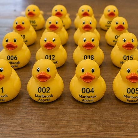 Customized rubber ducks for charities and fundraising