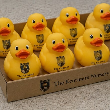 Customized rubber ducks for nurseries and clinics