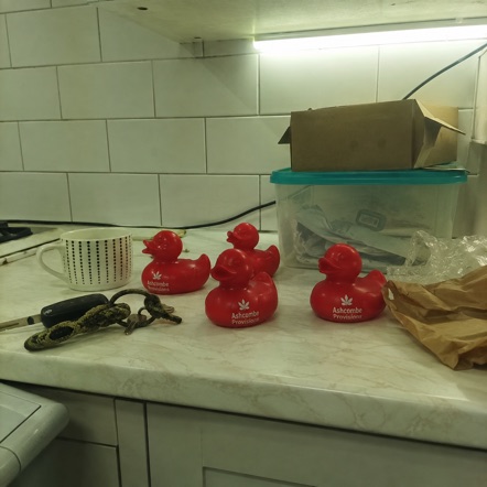 Rubber ducks with logo — customer photo